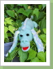 Glücksdrache Glücksdrache